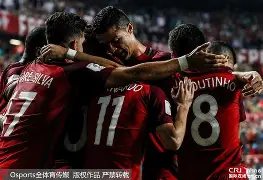 瑞士击败埃及，席尔瓦梅开二度领先的简单介绍