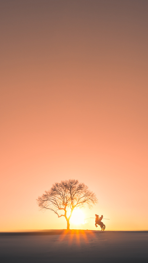 一眉镇双雄，当森林狼对阵独行侠，浓眉如何点燃赛场