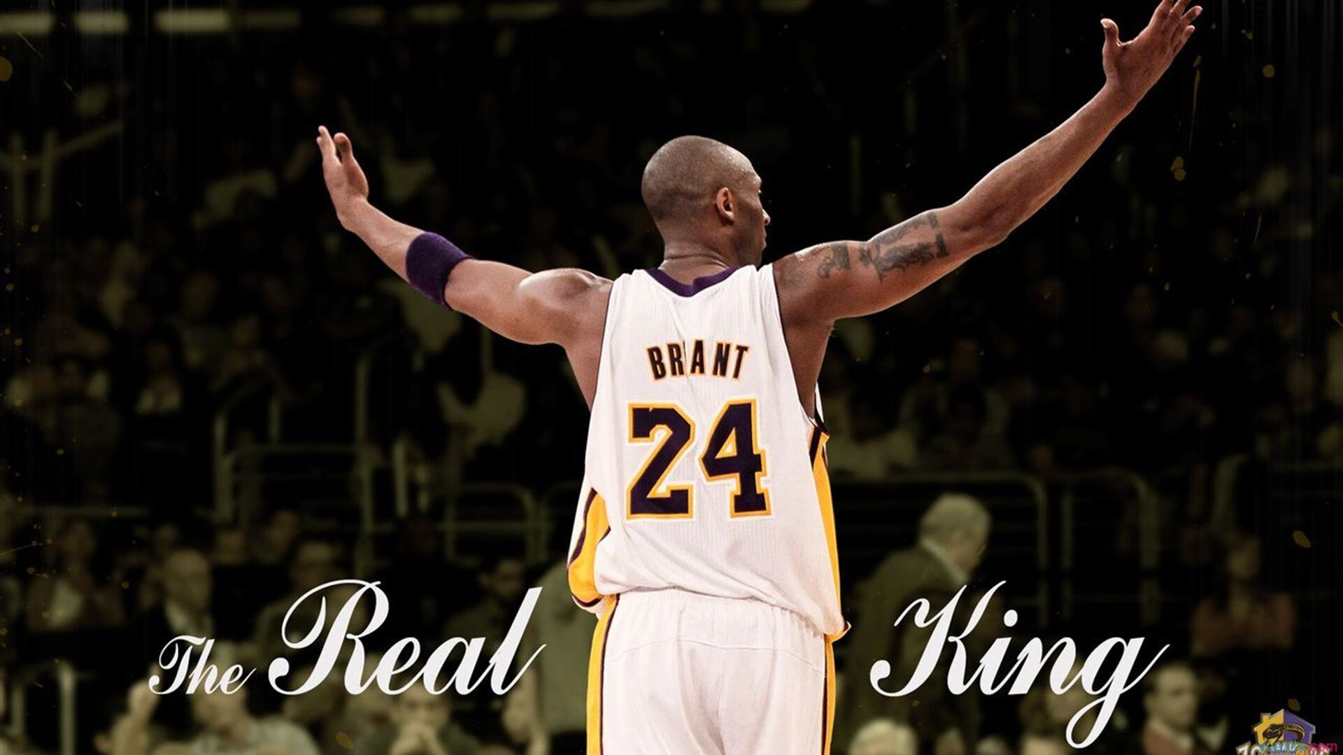 双线战场，制胜基因如何跨越国界与球网